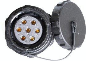 Circular Connector, 7 Contacts, Panel Mount, Socket, Female, IP67