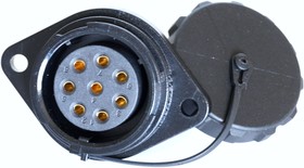 Circular Connector, 8 Contacts, Panel Mount, Socket, Female, IP67