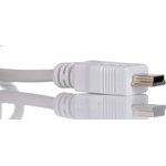 USB 2.0 Cable, Male USB A to Male Mini USB B Cable, 2m