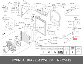 25412-5L000, Патрубок HYUNDAI HD65,78,БОГДАН дв.D4GA радиатора нижний OE