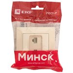 Розетка компьютерная + телефонная 2-м СП Минск RJ45 + Phone беж. EKF ERK00-135-20