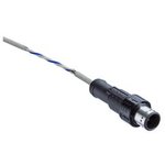 AD-02BMMM-QL8P05, Sensor Cables / Actuator Cables XLOK, A-5A, 02P, CABLE W/O SR