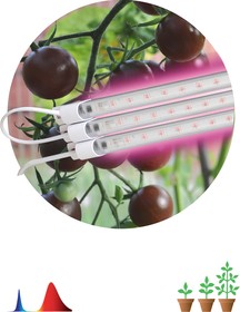 Фото 1/9 Модульный светильник для растений ЭРА FITO-3х10W-LINE-RB90 красно-синего спектра 30 Вт Б0050924
