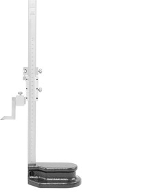 Фото 1/10 Штангенрейсмас ШР- 300 0,05 (ГРСИ №96436-25) SHAN