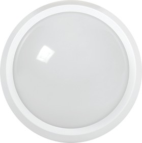 LDPO0-5071-28-6500-K01, Светильник светодиодный ДПО 5071 28Вт 6500К IP65 круг белый