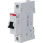 SH201L-C10 (OBSOLETE), Automatic single-pole 10A Switch With SH201L 4.5kA