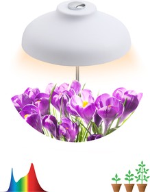 Фото 1/10 Светильник для растений ЭРА FITO-12W-FLED штыковой полного спектра 12 Вт Б0039068