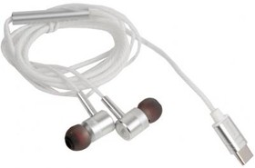 (6954851224525) наушники REMAX MONSTER RM-598a Metal Wired Earphone микрофон, подключение Type-C, серебристый