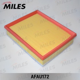 Фильтр воздушный RENAULT LAGUNA 1.5D/2.0D (с дополнительным фильтром) AFAU172 (FILTRON AP135/4, MANN C25109/1) AFAU172