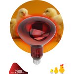 Инфракрасная лампа ЭРА ИКЗК 220-250 R127 для обогрева животных 250 Вт Е27 Б0042980