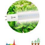 Фитолампа для растений светодиодная ЭРА FITO-9W-Ra90-Т8-G13-NL полного спектра 9 ...