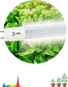 Фото 1/9 Фитолампа для растений светодиодная ЭРА FITO-9W-Ra90-Т8-G13-NL полного спектра 9 Вт Т8 G13 Б0042988