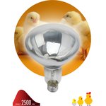 Инфракрасная лампа ЭРА ИКЗ 220-250 R127 кратность 1 шт Е27 / E27 для обогрева животных и освещения 250 Вт Б0055440