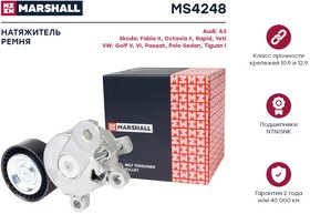 MS4248, Натяжитель ремня навесного оборудования