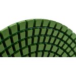 Диск алмазный полировальный на липучке 125 мм K3000 57H856