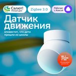 Smart Motion Sensor SBER/SBER (SBDV-00029)