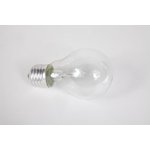 8101202, Incandescent Lamp 230- 40W E27/A50 Bulb