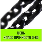 Таль ручная цепная CH100, 2 т, 9 м SZ060894