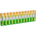 270AAHC (HR06/AA)12, Аккумулятор никель-металлгидридный NiMH 2600 mAh (12шт) 1.2В