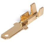 RP-P 1.0-(2.8), Terminal: RP-P 1.0-(2.8)