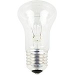 8101101, Incandescent Lamp 230- 25W E27/M50 Mushroom