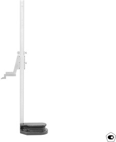 Фото 1/10 Штангенрейсмас ШР- 630 0,05 (ГРСИ №96436-25) SHAN