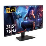 EX299475RUS, Монитор с аудио 31.5" WQHD ...
