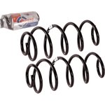 10110, Пружина подвески