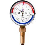 00000002330, Thermomanometer TMTB-31R.1 (0-120C) (0-1.6MPa) DC80 L=46, G1/2 ...