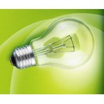 8101303, Incandescent lamp 230-60 W E27/A50 individual packing FAVOR pear