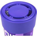 Ароматизатор AS-22 ''Bubblegum'' (Жевательная резинка) ARNEZI A1510110