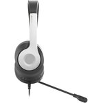 Гарнитура A4Tech Fstyler (FH100U (PANDA)) белый/черный 2м накладные USB