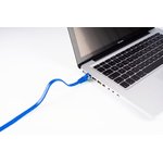 Patch cable, RJ45 plug, straight to RJ45 plug, straight, Cat 7, U/FTP, PVC ...