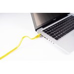 Patch cable, RJ45 plug, straight to RJ45 plug, straight, Cat 7, U/FTP, PVC ...