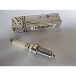 06K905601B Spark Plug