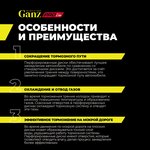 Диск тормозной задний перфорированный PRO-Line с покрытием (компл.2 шт) для KIA ...