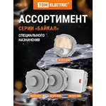 SQ1819-0345, Выключатель с задержкой выключения 16А 250В платина,серия "Байкал" ...