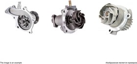 WP1445, Помпа водяная