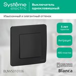 Systeme Electric Blanca Internal Anthracite Switch 1-key, 10A, 250B