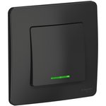 Systeme Electric Blanca internal Anthracite Switch 1-key with backlight, 10A, 250B