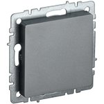 BRITE Plug with caliper MZ10-BrS steel IEK