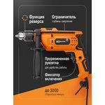 SQ1086-0101, Electric impact drill 550 W, Rubin series