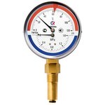 00000002329, Thermomanometer TMTB-31R.1 (0-120C) (0-0.6MPa) DC80 L=46, G1/2 ...