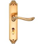 Ручка дверная на длинной накладке ACANTO S. GOLD OL 940000000420