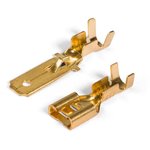 RP-P 1.0-(2.8), Terminal: RP-P 1.0-(2.8)