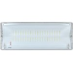 SAFEWAY emergency lighting lamp-40P post. LED EKF Proxima | DPA-204 | EKF Actions