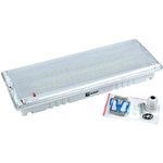 SAFEWAY emergency lighting lamp-40P post. LED EKF Proxima | DPA-204 | EKF Actions
