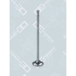 010520300003, Engine intake valve
