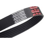 6PK1768, Ремень поликлиновой, AUDI A4/A6/A8 2.4-2.8, FORD Fiesta IV 1.25 ...