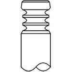 001VE31376000, Intake Valve, MERCEDES-BENZ C-CLASS (W203) MERCEDES-BENZ C-CLASS ...